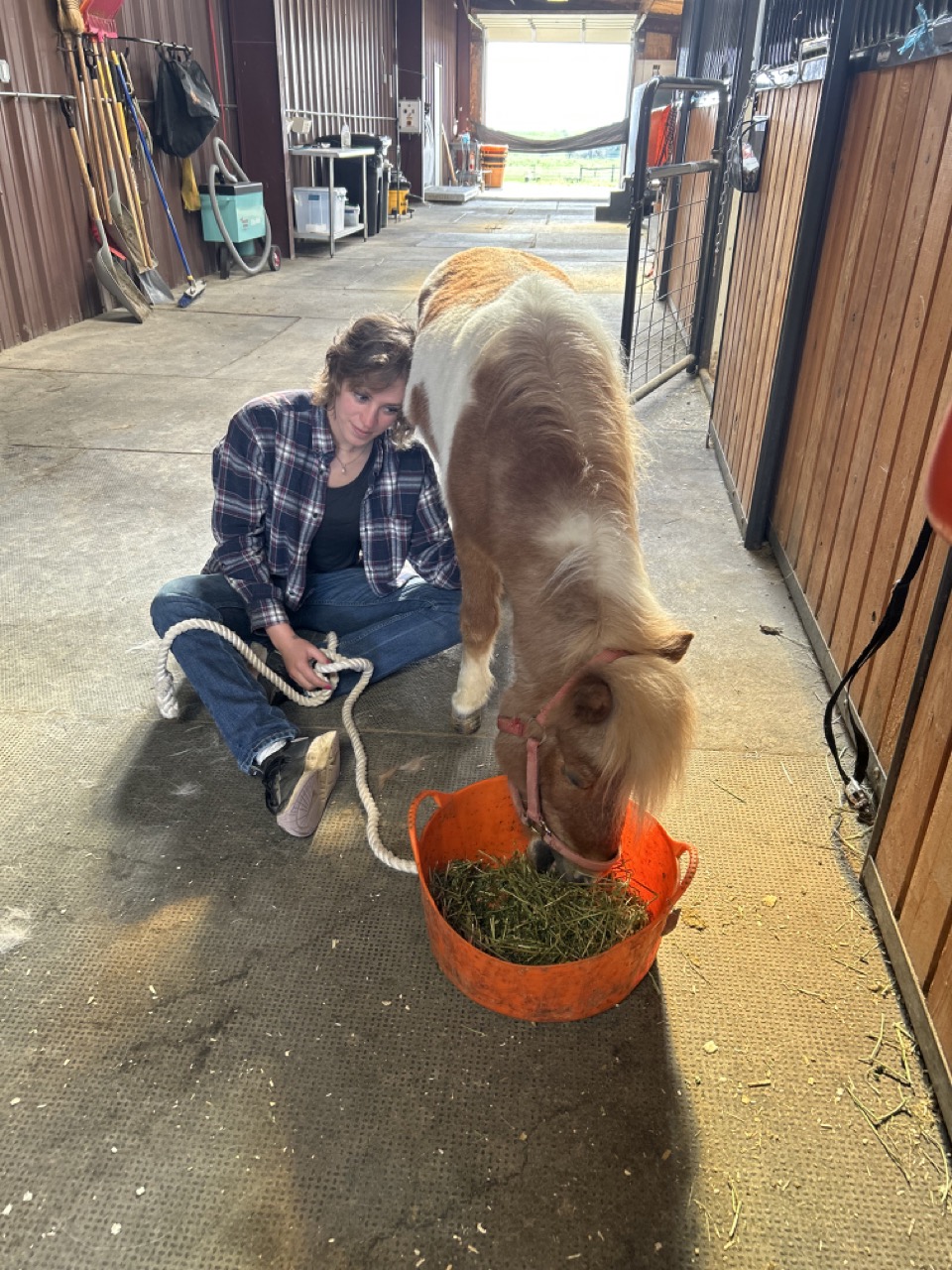Devon and Mango