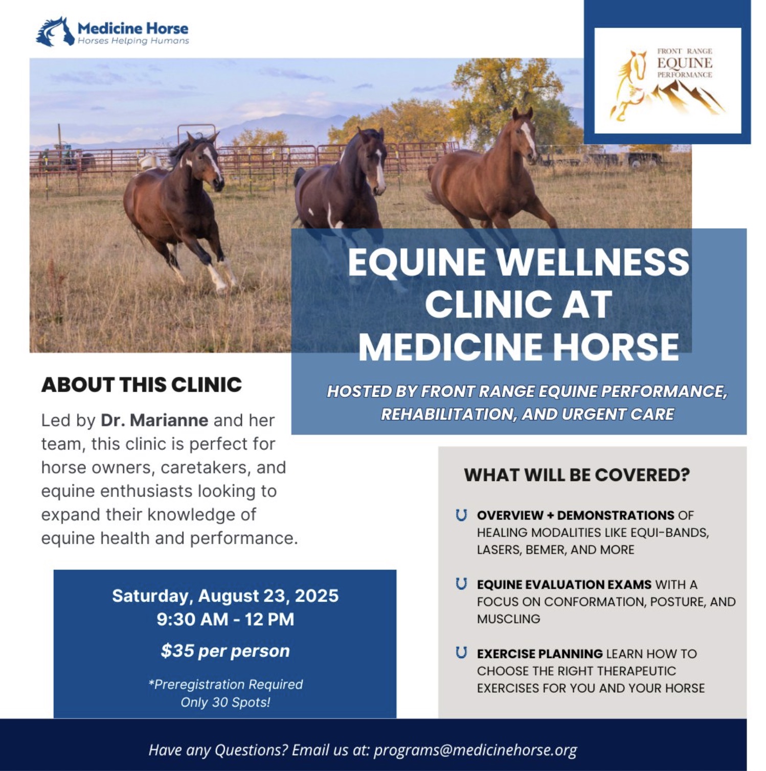 Medicine Horse