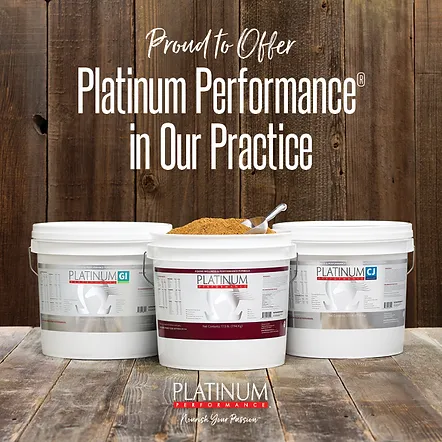 platinum performance product