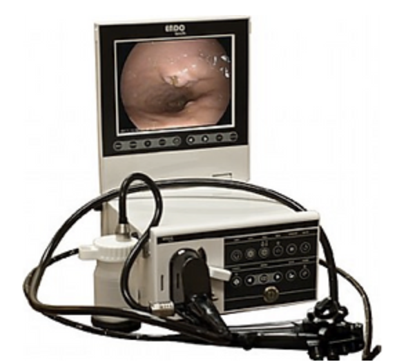 Mobile Endoscopy
