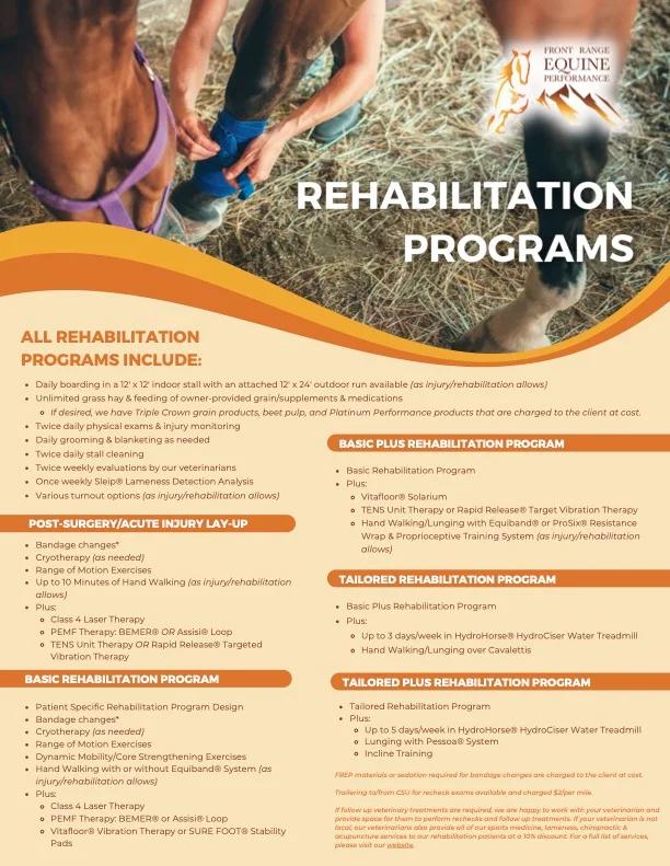 rehab program