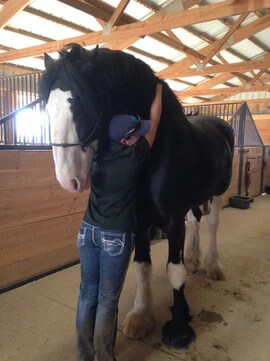 Whitney hugging horse