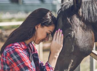Equestrian First Aid: Be Prepared on National Horse Day and Beyond